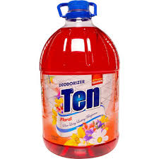 12- 90286-4 DEODORIZER TEN FLORAL -MULTIUSO 6/128 OZ